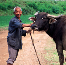 小型飼料顆粒機,農(nóng)民圓夢！